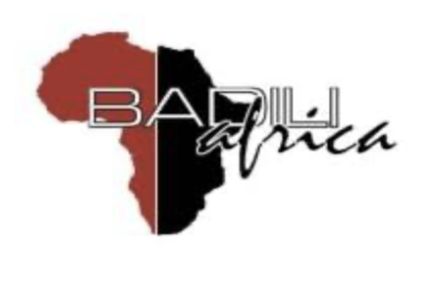 Badili africa logo